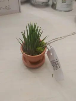 Air Plant Terracotta Pot Ornament