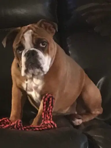 Rosey Is Glad It Is Friday And Asking You To Help Us Hit 1000 Sales. We Need 27 More To Hit 1000. Please Browse Our Store! Hope To See You At The Show.