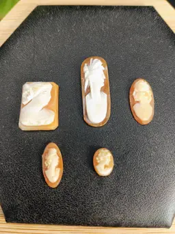 Antique Lot of Rare Carved Shell Cameos.
