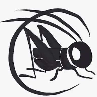 the happy cricket-heather