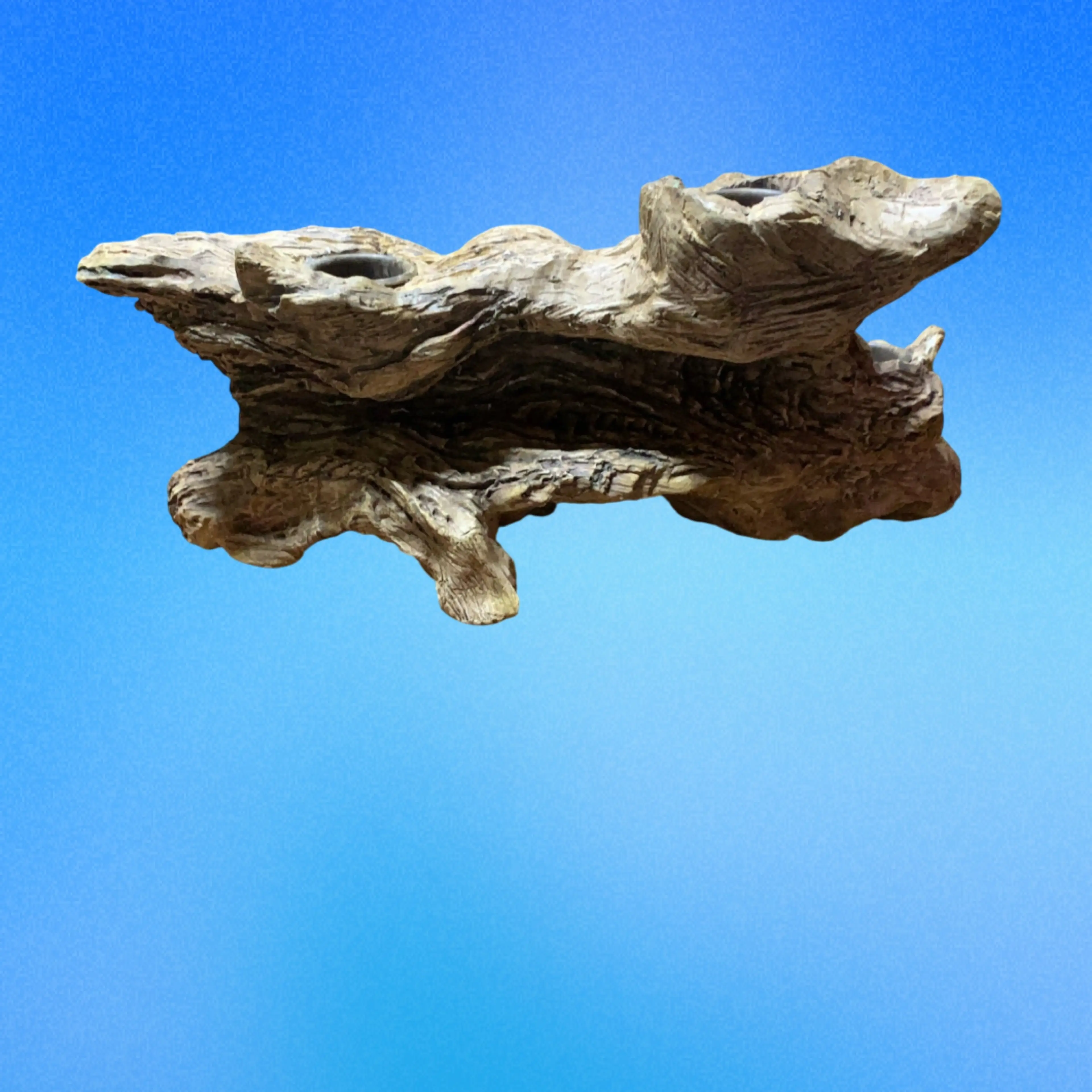 Image 5 of 5