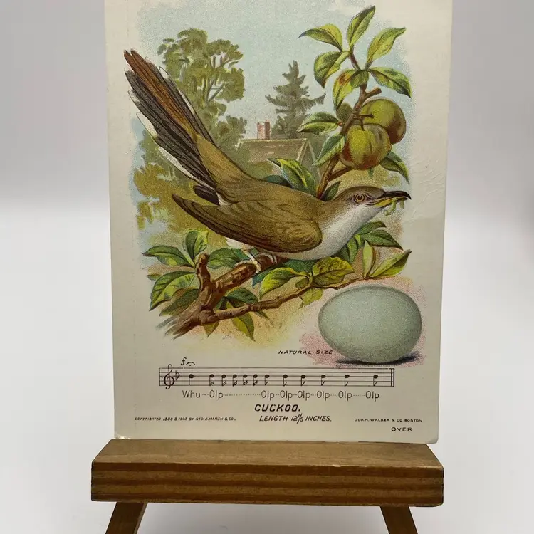 Antique Trade Card, Good-Will Soap/New England’s Finest, “Cuckoo”, Copyrighted 1888 & 1902 By Geo. E. Marsh & Co., Card by Geo. H. Walker & Co., Boston