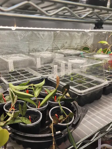 Prop Box Confessions VII