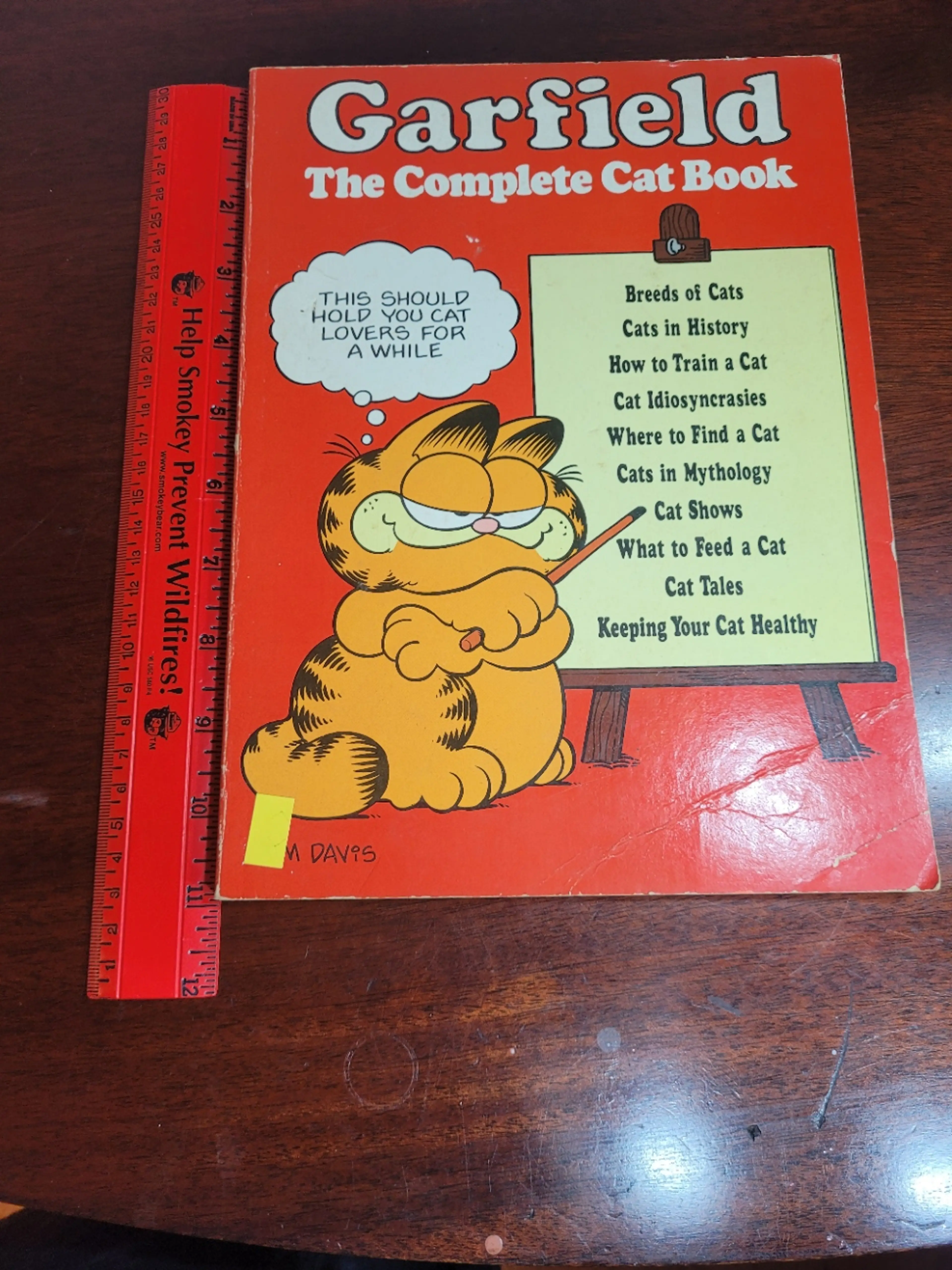 VINTAGE Garfield CAT book