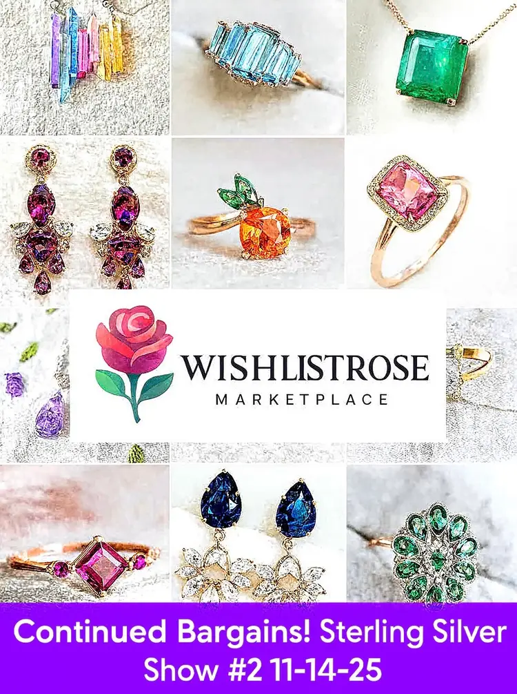 Bargains Continued!🌹Sterling Silver Show #2 11/14/25