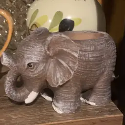 tan elephant