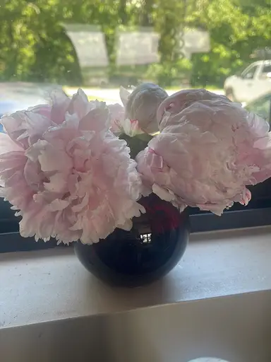 Auction Unboxing - Shop Right Out Of My Car You Get 1st Dibs!! 