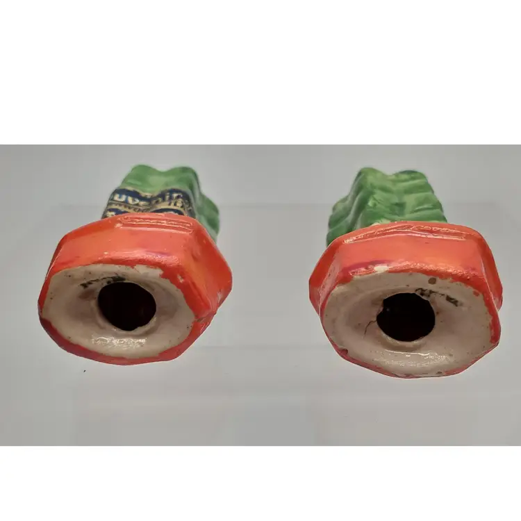 Vintage Souvenir Cactus Salt and Pepper Shakers from Brownwood, Texas