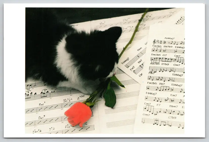 Postcard Cat with Rose Lying on Sheet Music Felis catus 1997 Kay Erickson - 13597
