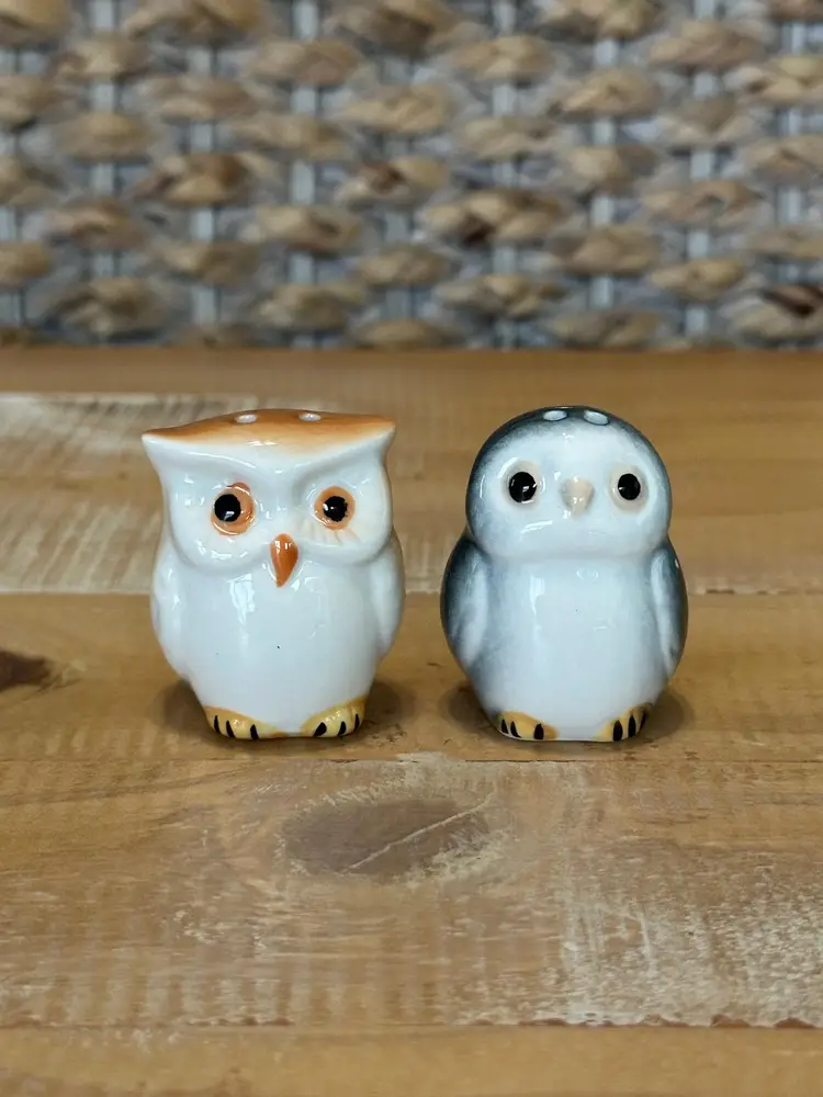 Pair Of Owl Salt and Pepper Shakers 1 Brown 1 Black