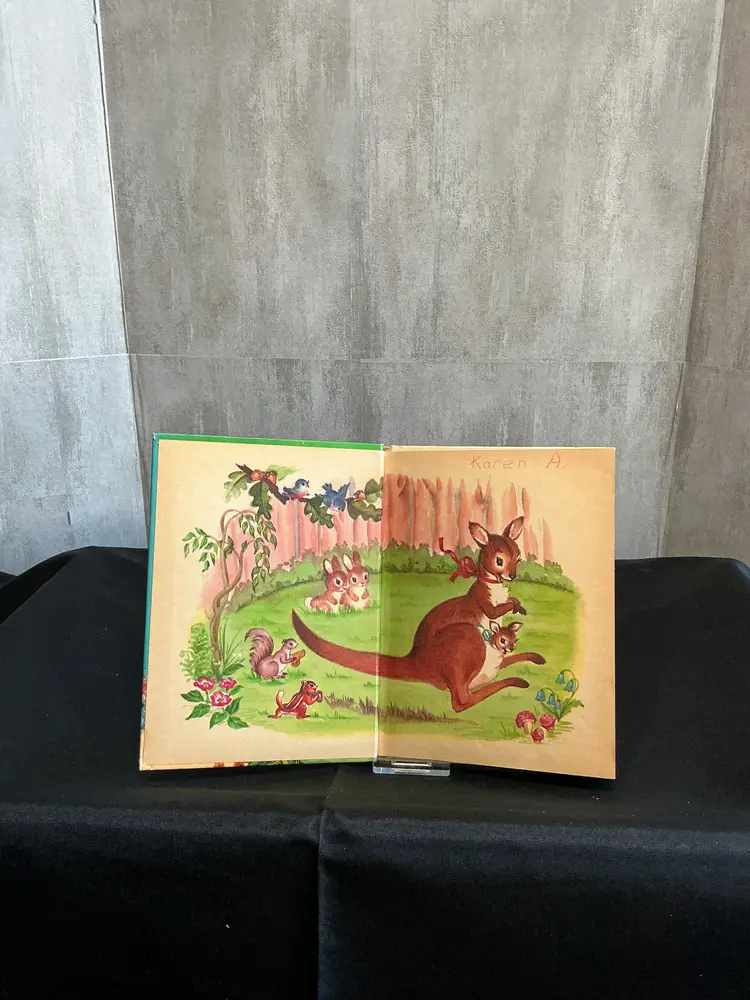 The Runaway Kangaroos  Junior Elf Book