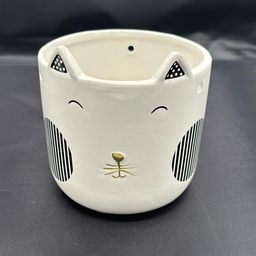 Planter- cat, hanging