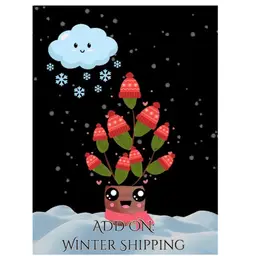 005 ADD ON: Winter Shipping