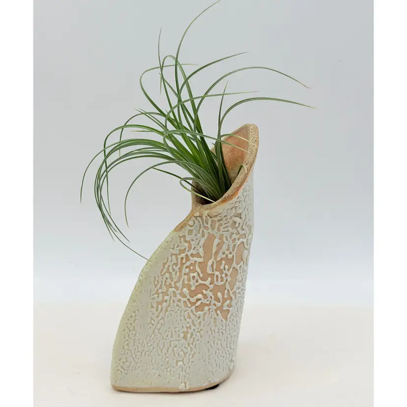 4” Studio Pottery Vase w/ A Tillandsia Air Plant