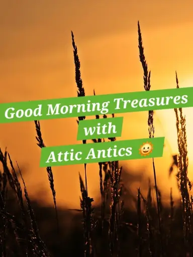 Rise & Shine with Attic Antics