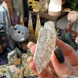 Dendritic Agate Freeform 17k