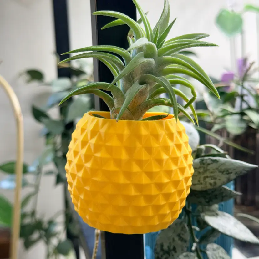 Airplant Holder - Pineapple
