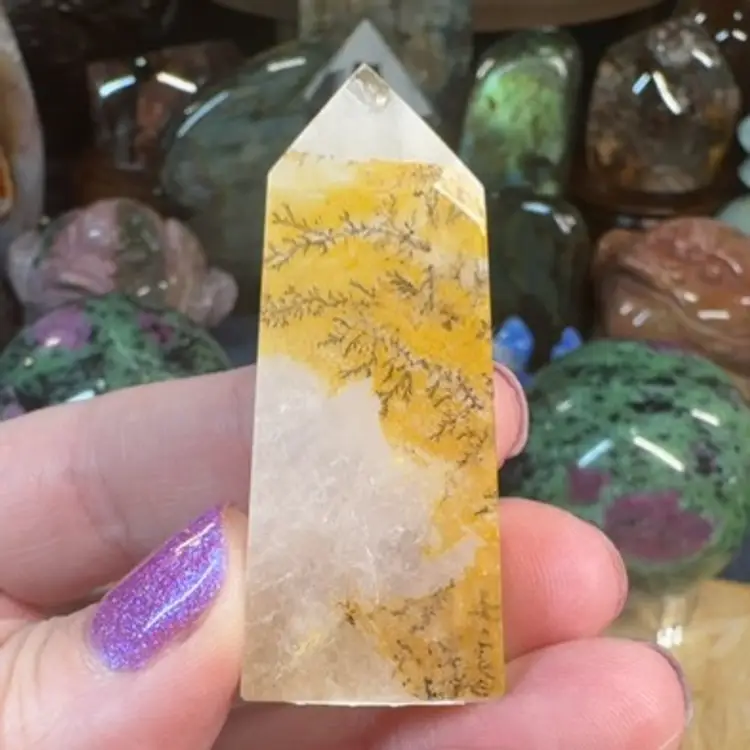 Dendritic Quartz 10E