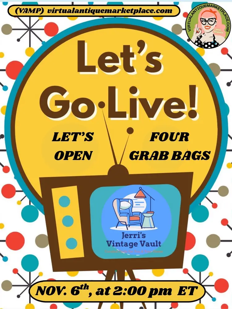 Goodwill Grab Bag Roulette – Treasure or Trash?