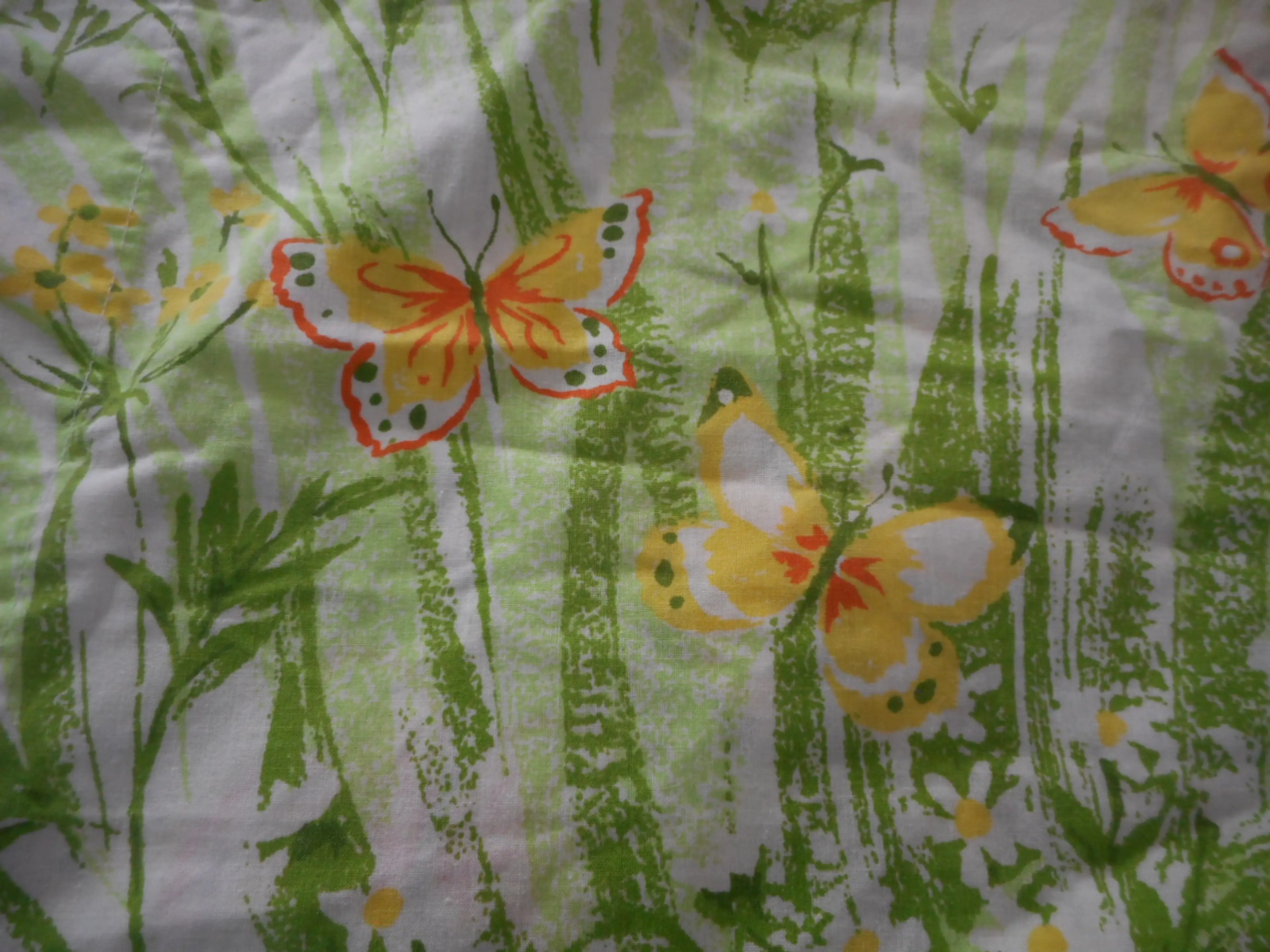 Image 4 of 5