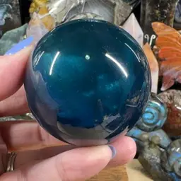 Viv $10 Credit Applied