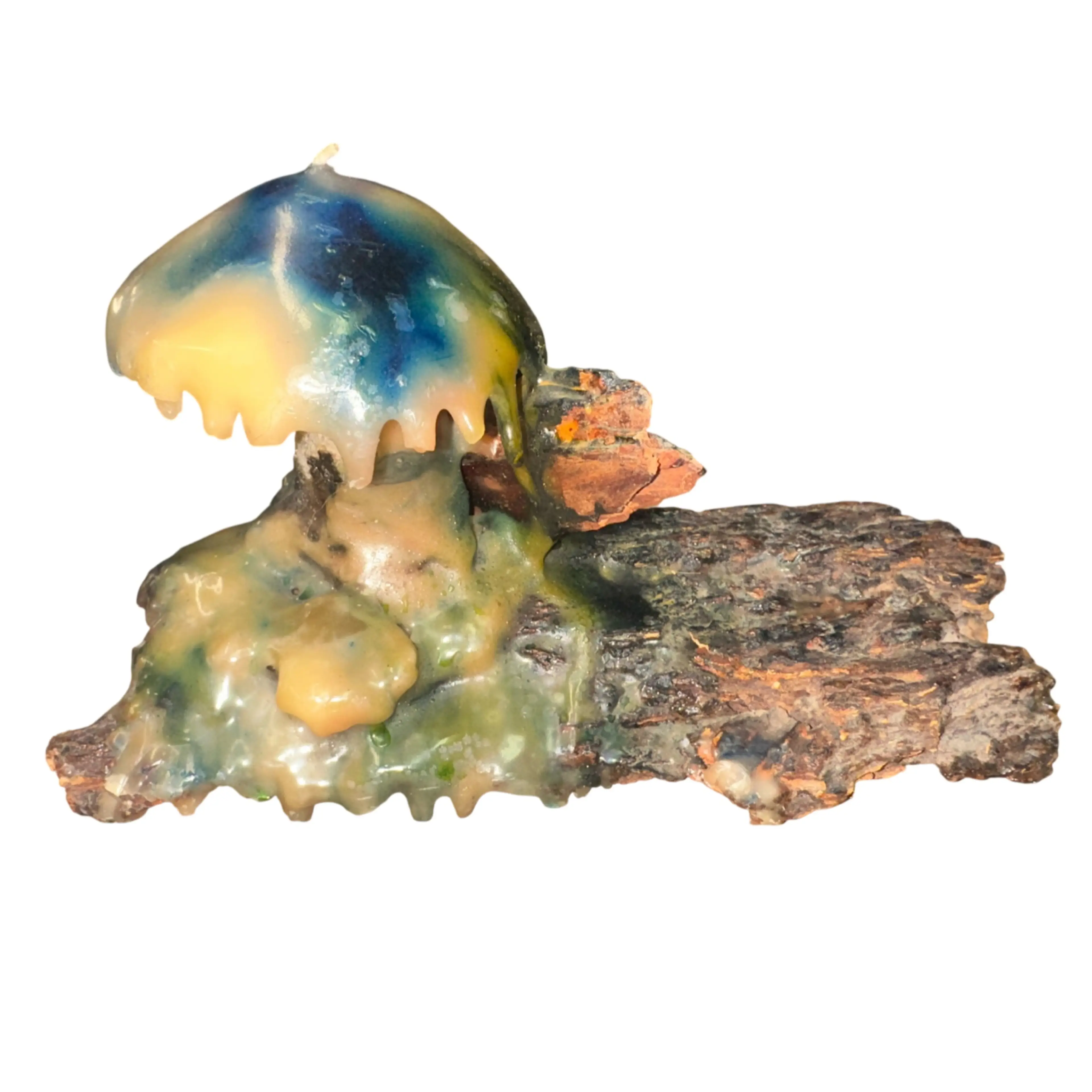 Image 1 of 8