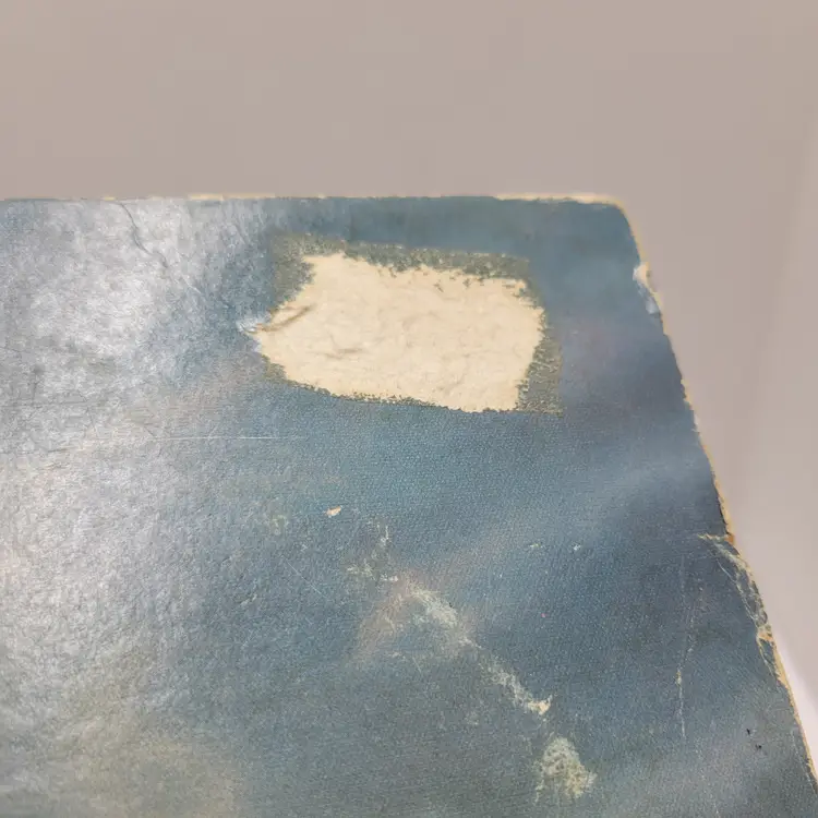 Deep Purple: Stormbringer (1974) Warner Bros. Records PR 2832 Untested Wall Art