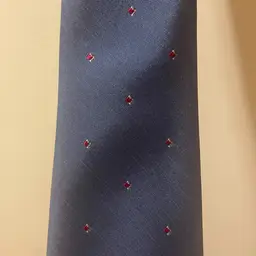 Christian Dior Tie