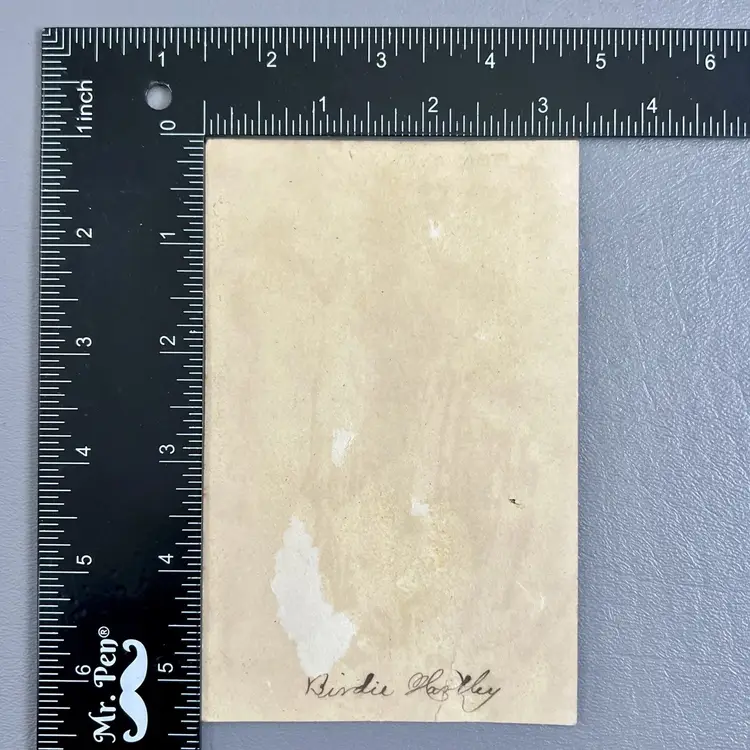 Victorian Trade Card Birds On A Branch Overlooking Building & Person Walking