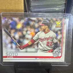 Juan Soto Gold Cup Card