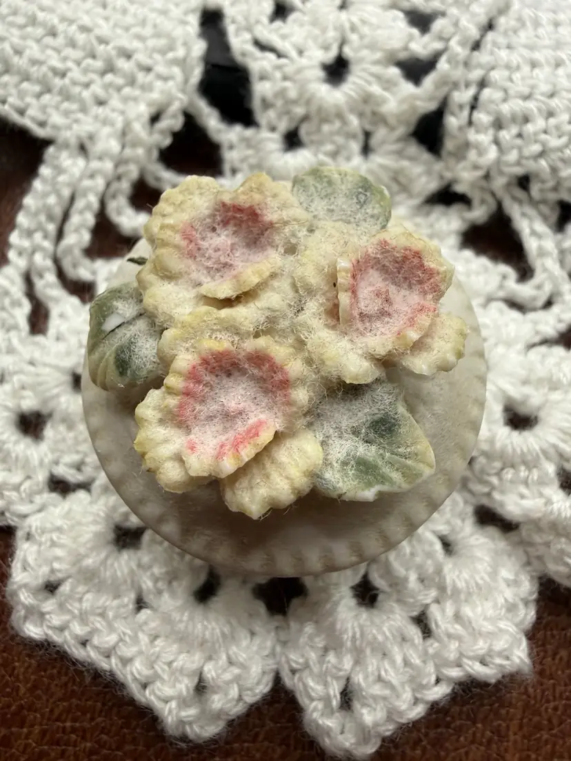 Porcelain Trinket Box