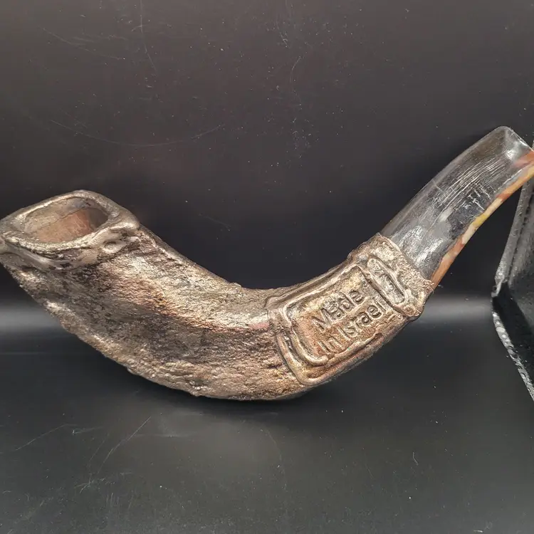 Made in Israel Silver-Plated Ram's Horn Shofar Star of David/Genesis 12.3 8.25 inches