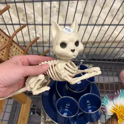 Skeleton Kitty
