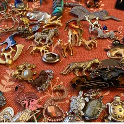 Animals Of All Sorts