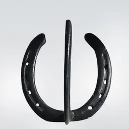 Metal Horse Shoe Hook