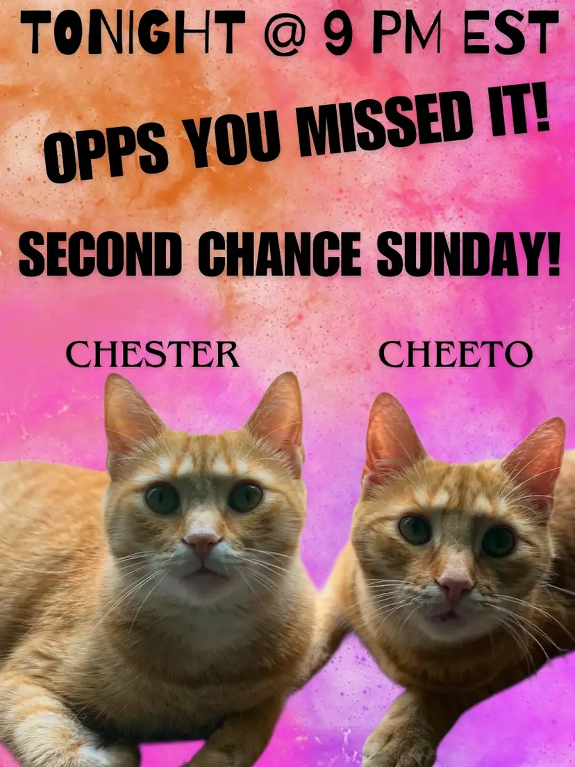 Livestream thumbnail