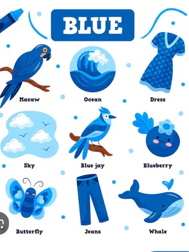 Meg’s Blue Tuesday Vintage Variety 