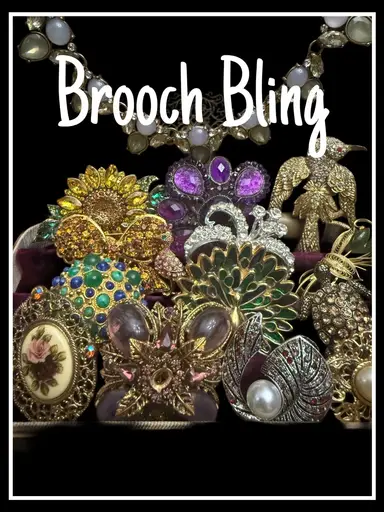 Brooch Bling- 10.00 Starts- Gorgeous Bling