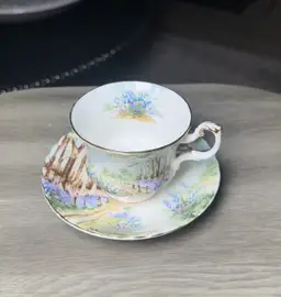 Royal Albert Bluebell Wood Teacup & Saucer Country Scene Series Bone China