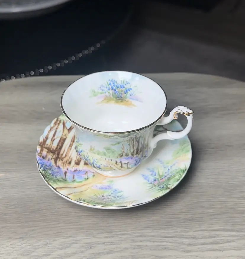 Royal Albert Bluebell Wood Teacup & Saucer Country Scene Series Bone China