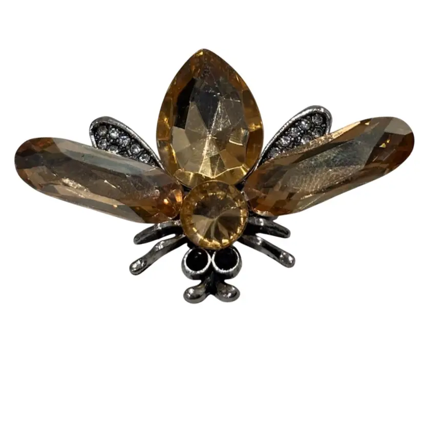 Insect Brooch