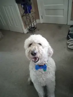 #26-CHOICE Studio Pottery