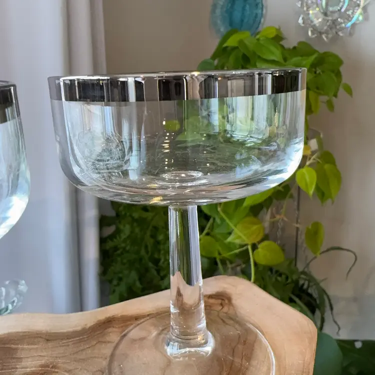 Vintage Dorothy Thorpe Champagne Coupes