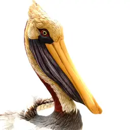 Brown Pelican Hand Painted Porcelain Bisque figurine by Andrea for Sadek 2001