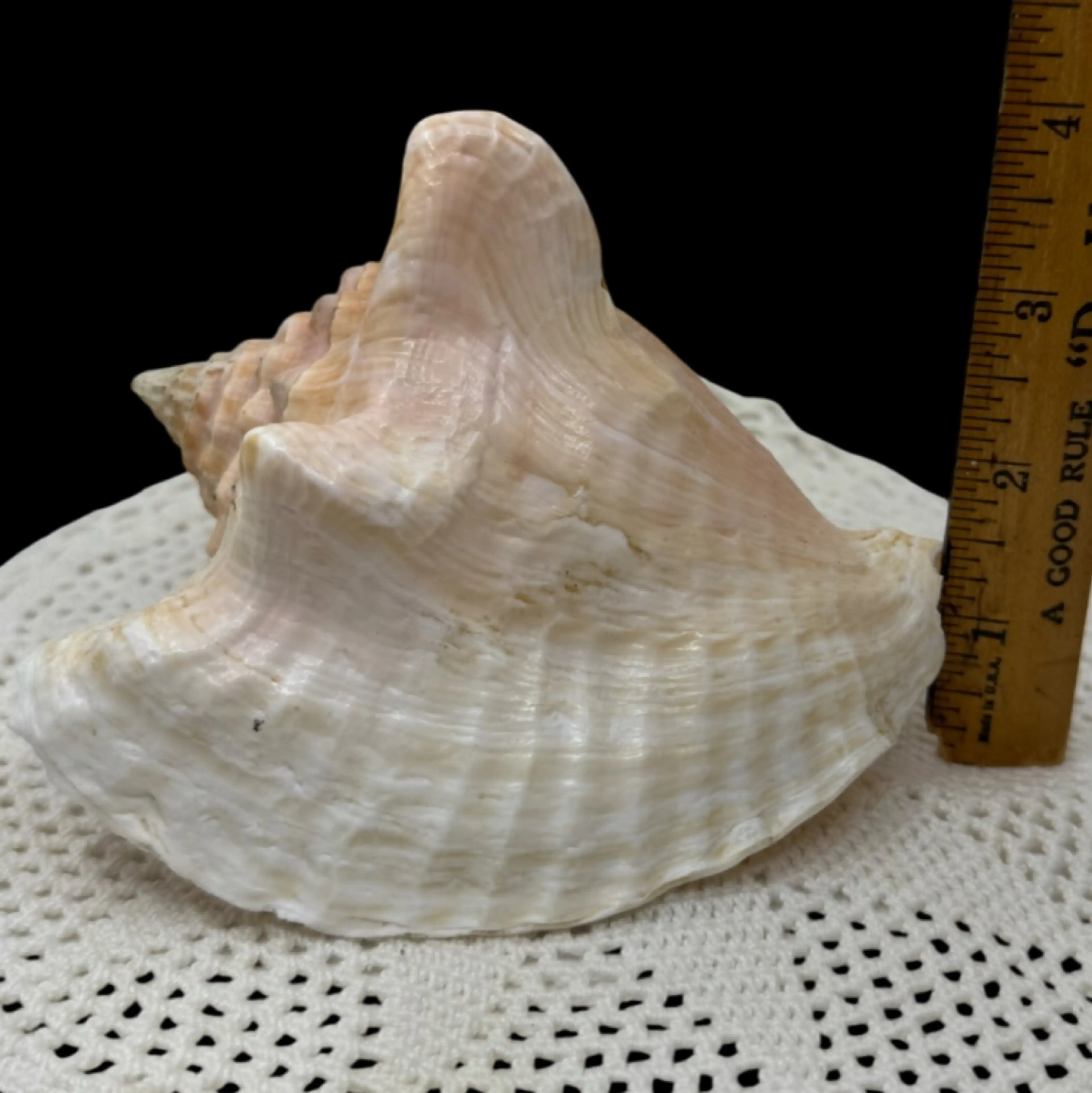 Image 4 of 4