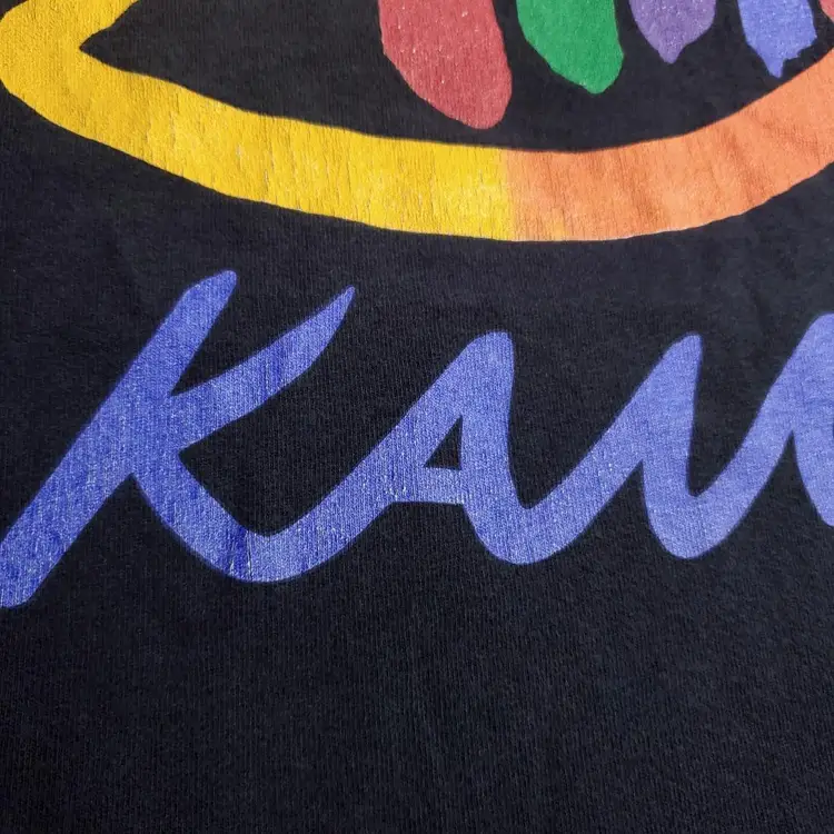 Vintage Rare Kauai Hawaii Tropical Fish Art SGT. Leisure Single Stitch TShirt Men XL