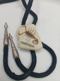 🦂 Scorpion Tombstone Bolo Tie 🦂