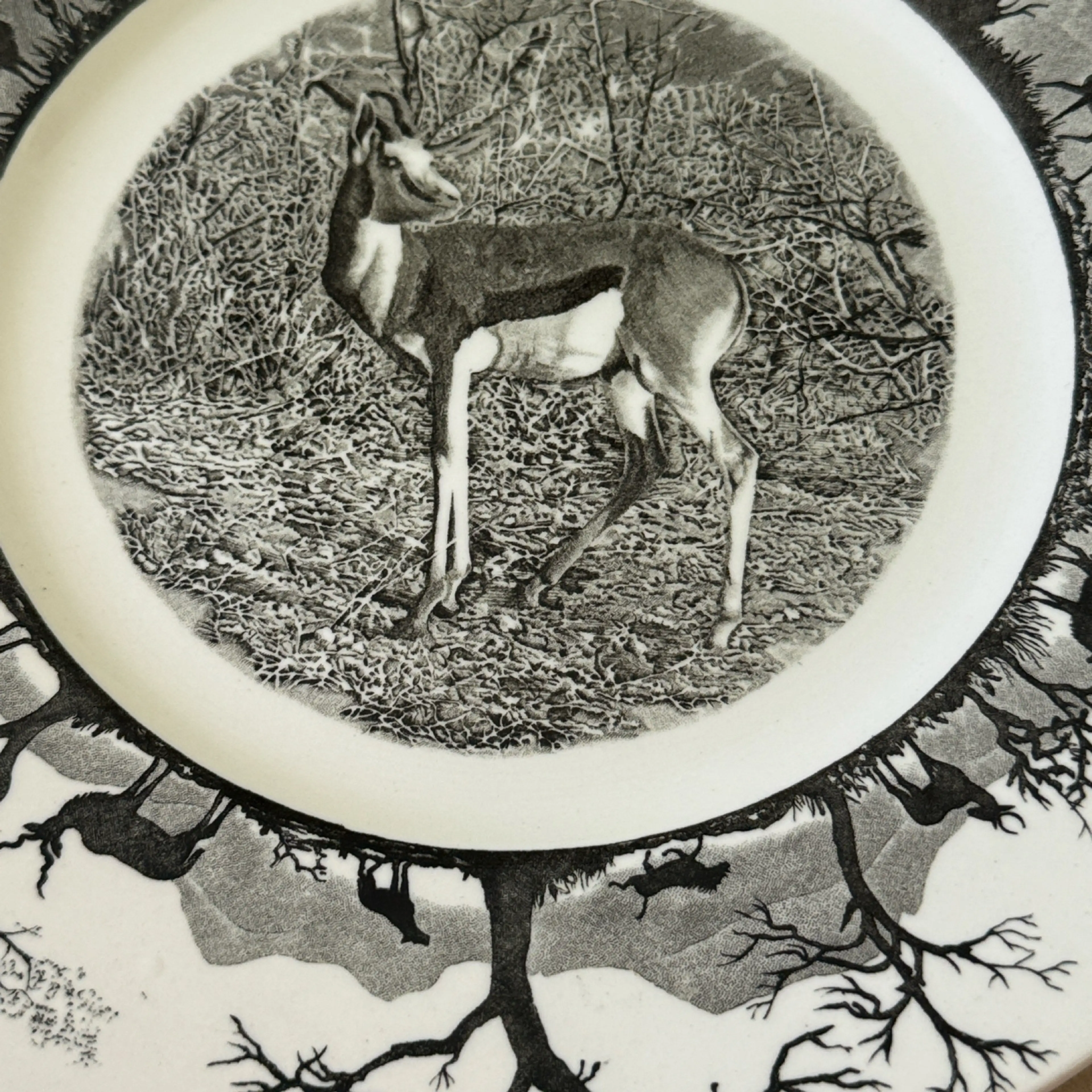 Image 3 of 6