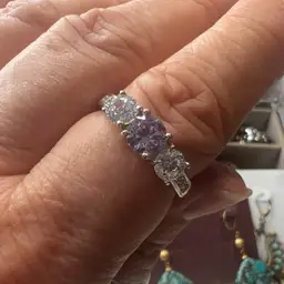 #25 Rings And Things Picked Up On The Junk Hunt  Shown 3/31/25
Costume Jewelry And…