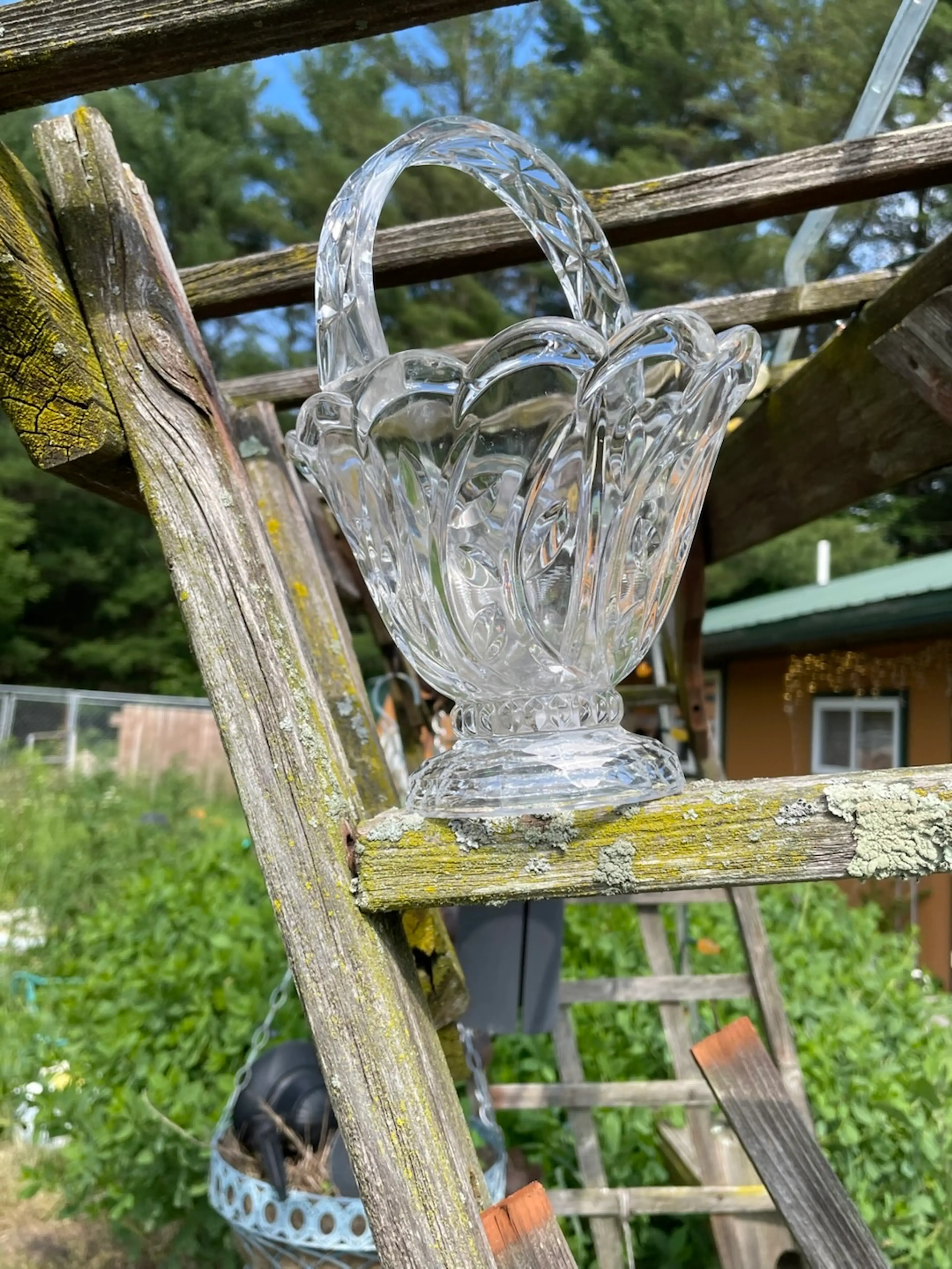 Image 4 of 11